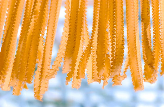 Semolina drying pasta