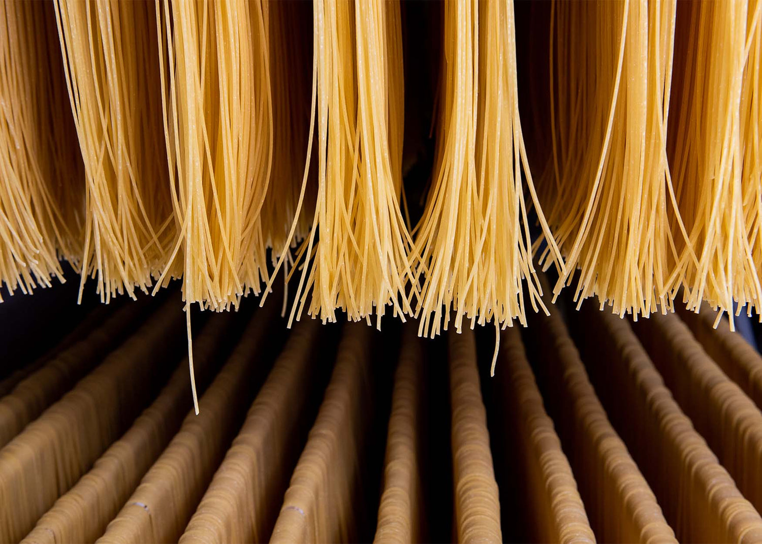 Handmade Pasta Drying on Wooden Spool