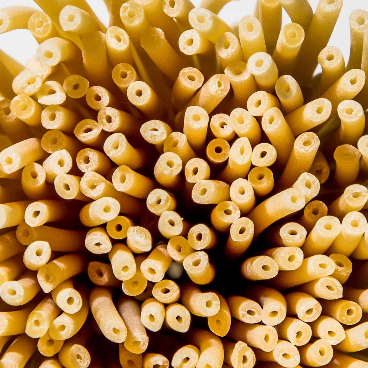 Close up, overhead view of hundreds of pieces of bucatini pasta. From this angle the yellow pasta resembles long tubes or drinking straws.