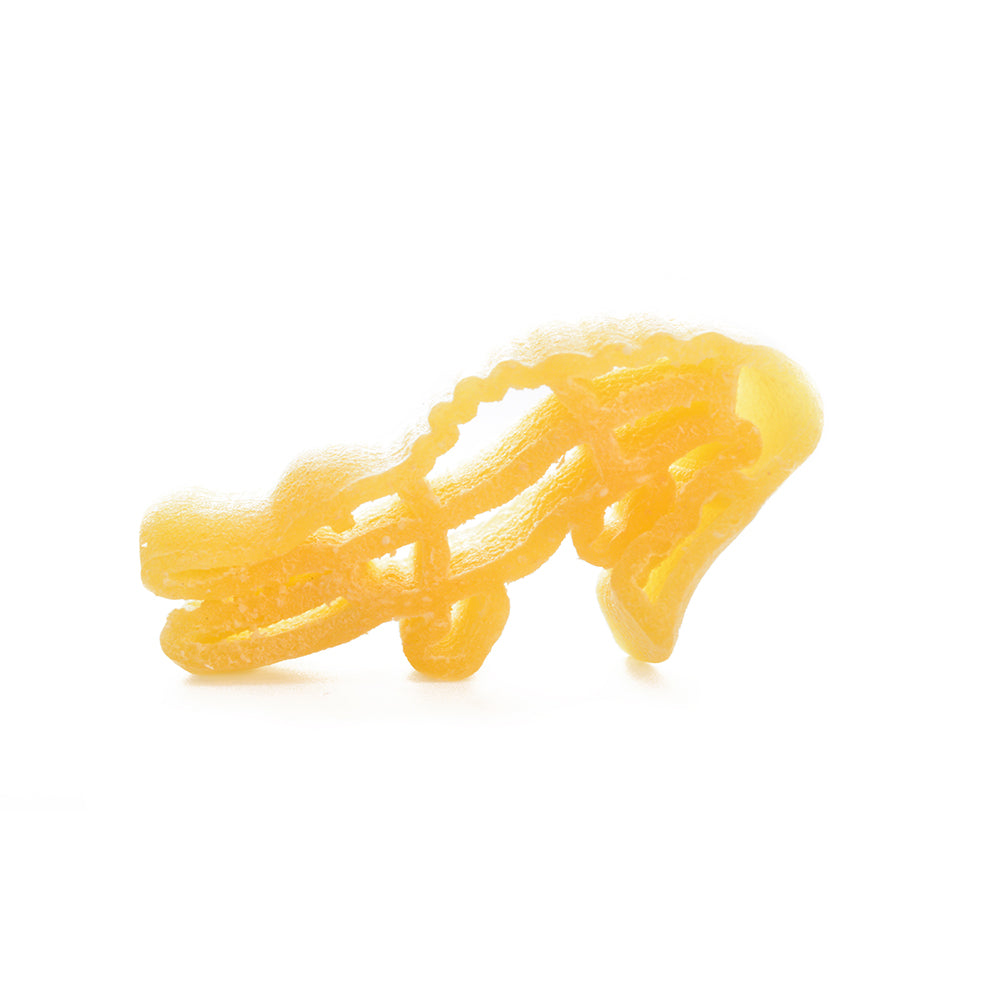 Close up of a single piece of Dagostino alligator-shaped pasta against a white background.